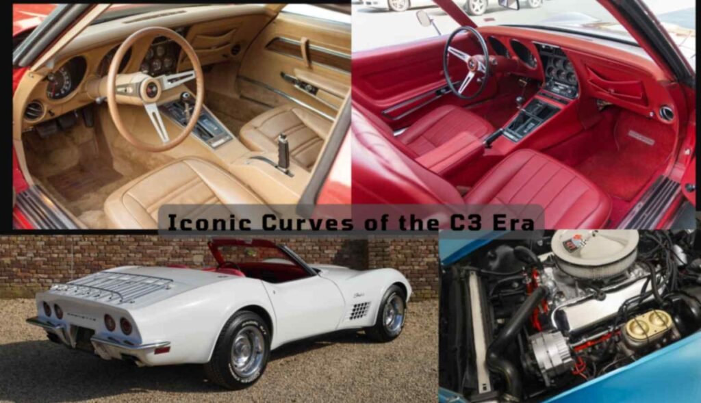 America's Original Shark Car C3 Interior